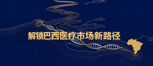 解锁巴西市场新路径：IN N° 290/2024法规深度解读与实操指南