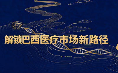 解锁巴西市场新路径：IN N° 290/2024法规深度解读与实操指南